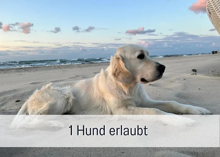 3 Zimmer App Duenengarten Fewo 58